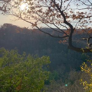 Meet your Posher, Alysha